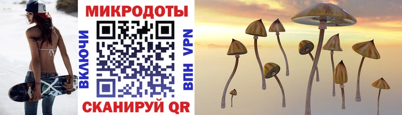 Галлюциногенные грибы Psilocybine cubensis  Купить где  Закаменск 